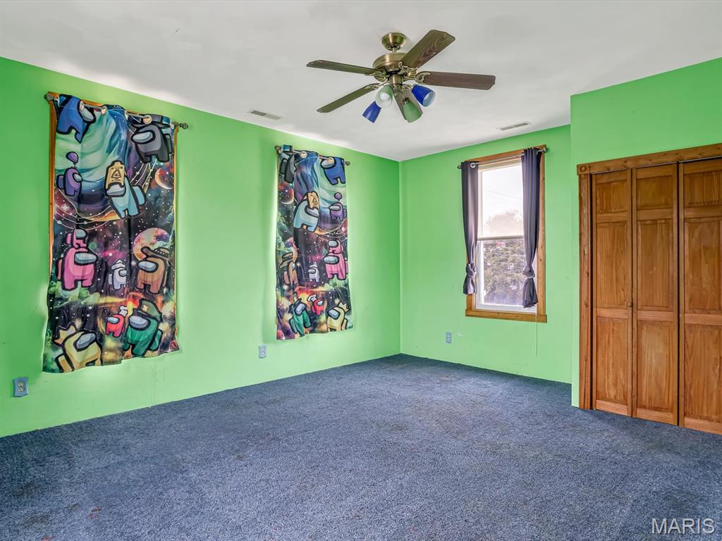 110 North Park Street Hecker, IL 62248 - Photo 12 of 20