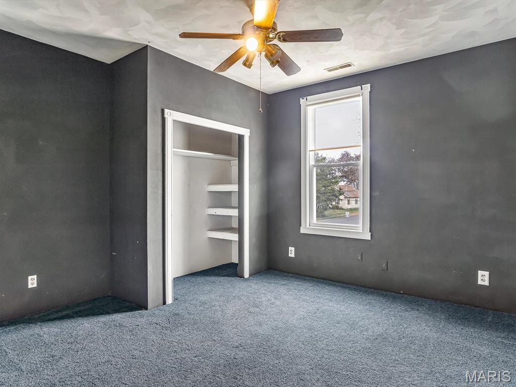 110 North Park Street Hecker, IL 62248 - Photo 13 of 20