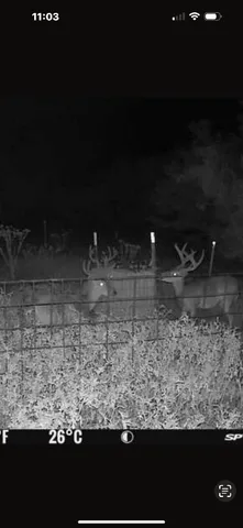 a view of lake and mountain