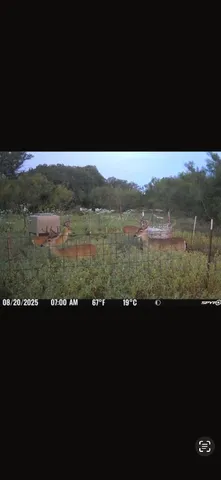 $249,000 | 424 Rochelle Tx 76872, Rochelle, TX 76872