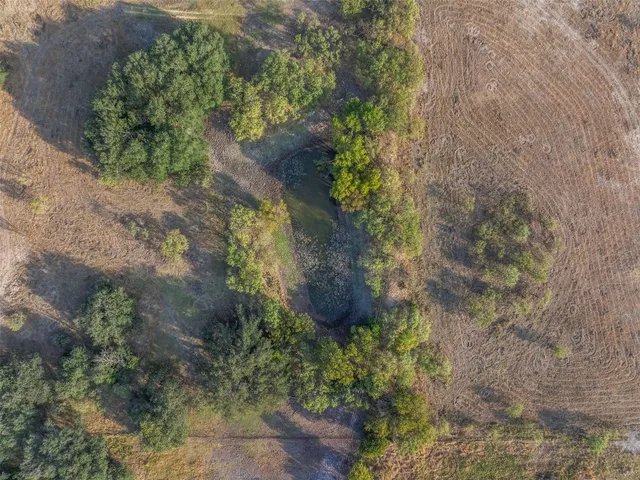 a view of dirt yard with a tree
