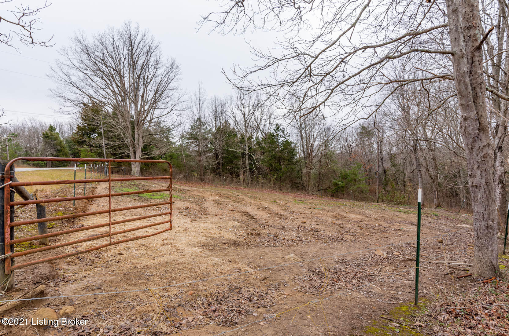 210 Cherry Spring Road Cub Run, KY 42729 - Photo 10 of 40 DSC_5462