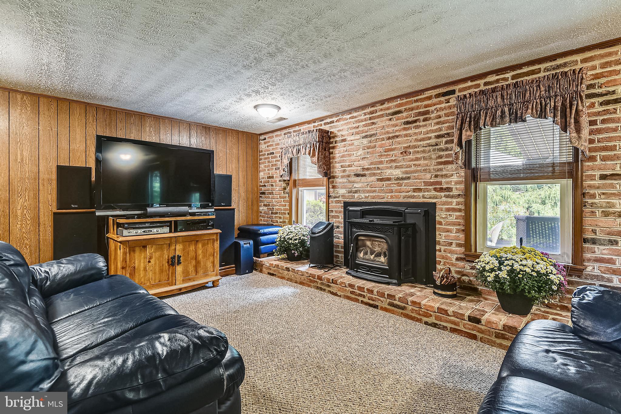 2232 Countryside Drive Silver Spring, MD 20905 - Photo 35 of 72 RECREATION ROOM WITH, PELLET, HARMAN IRON STOVE