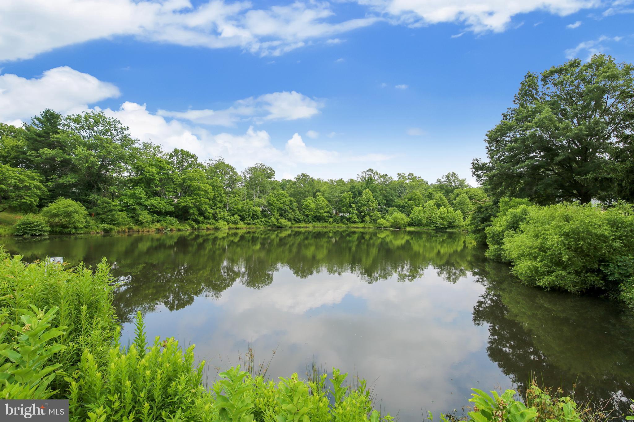 2232 Countryside Drive Silver Spring, MD 20905 - Photo 67 of 72 SCENIC VIEW OF POND