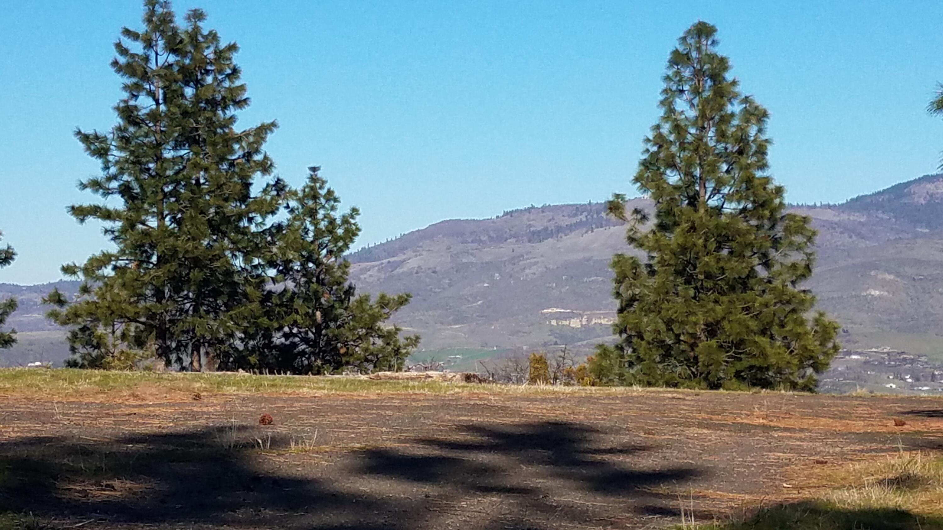 6318 Adams Road Talent, OR 97540 - Photo 34 of 39 20250228_151500