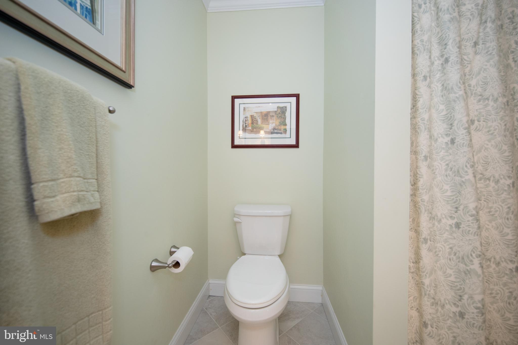 12021 Tralee Road, Unit 304 Lutherville-Timonium, MD 21093 - Photo 24 of 34 comfort height toilet