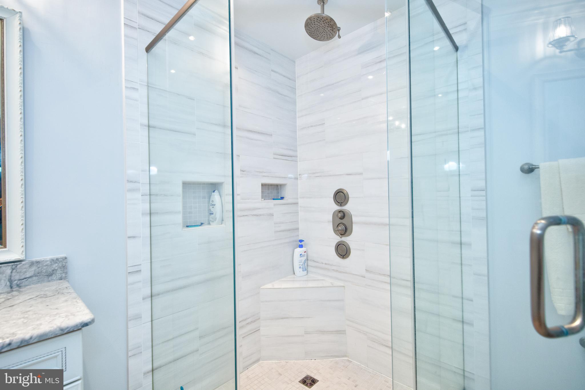 12021 Tralee Road, Unit 304 Lutherville-Timonium, MD 21093 - Photo 29 of 34 Custom glass shower