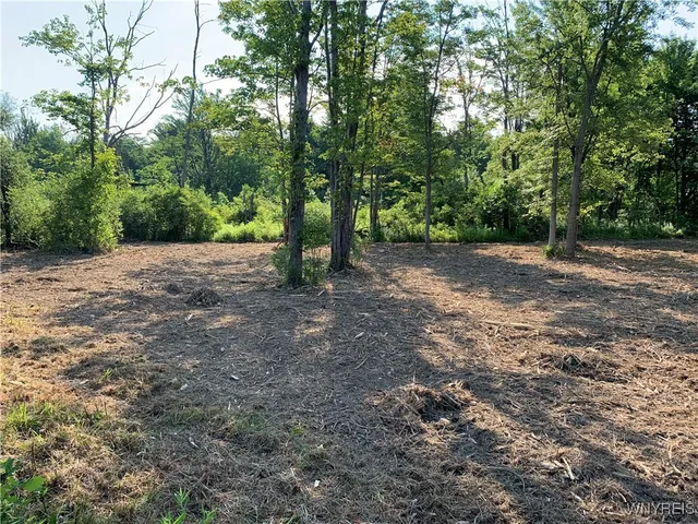 $30,000 | 8393 Southwestern Boulevard, Evans, NY 14006