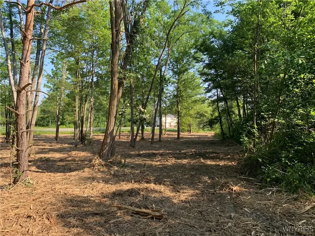 $30,000 | 8393 Southwestern Boulevard, Evans, NY 14006