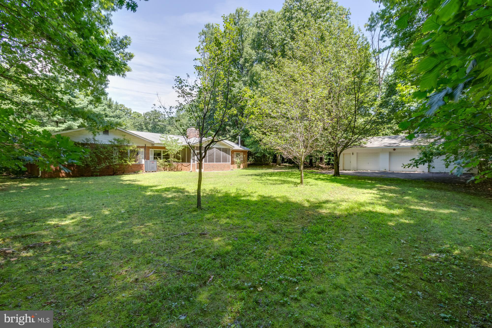 4509 Shirley Gate Road Fairfax, VA 22030 - Photo 40 of 47 Beautiful Trees In Tranquil Back Yard