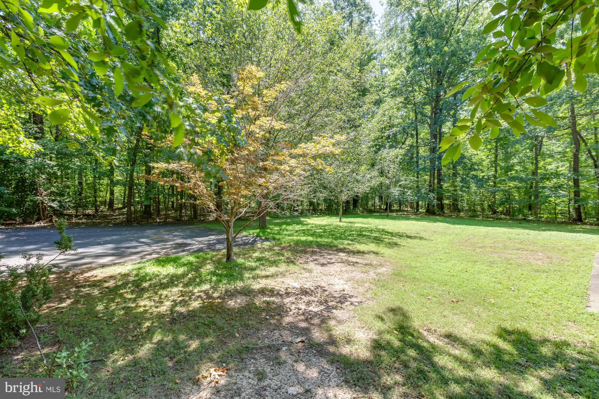 4509 Shirley Gate Road Fairfax, VA 22030 - Photo 42 of 47 Beautiful Trees, Listen To Nature