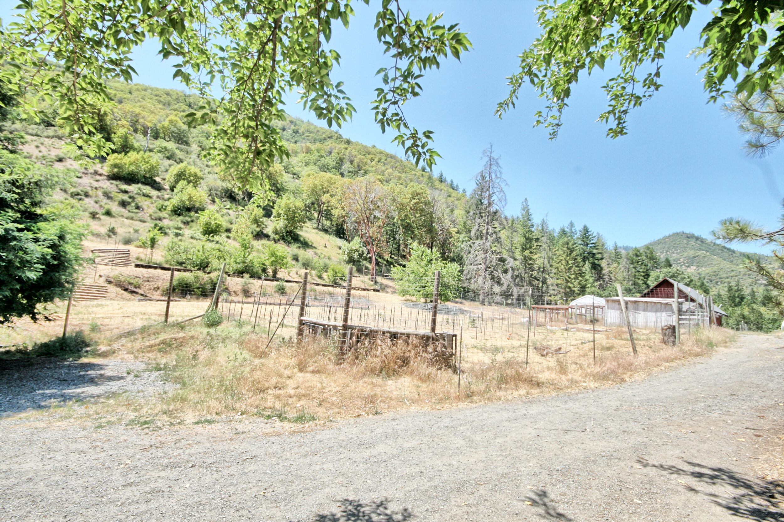 2231 Humbug Creek Road Jacksonville, OR 97530 - Photo 52 of 80 a view of a yard with a tree