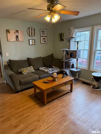 $62,000 | 409 South Price Street, Industry, IL 61440