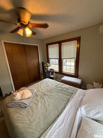 $62,000 | 409 South Price Street, Industry, IL 61440