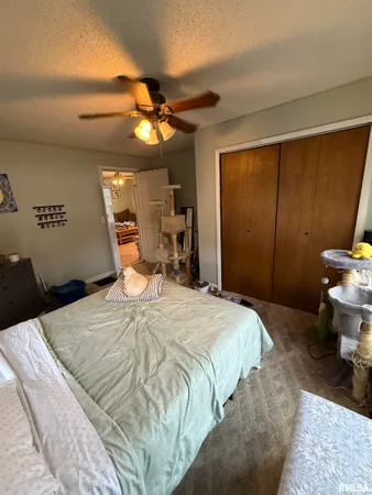 $62,000 | 409 South Price Street, Industry, IL 61440