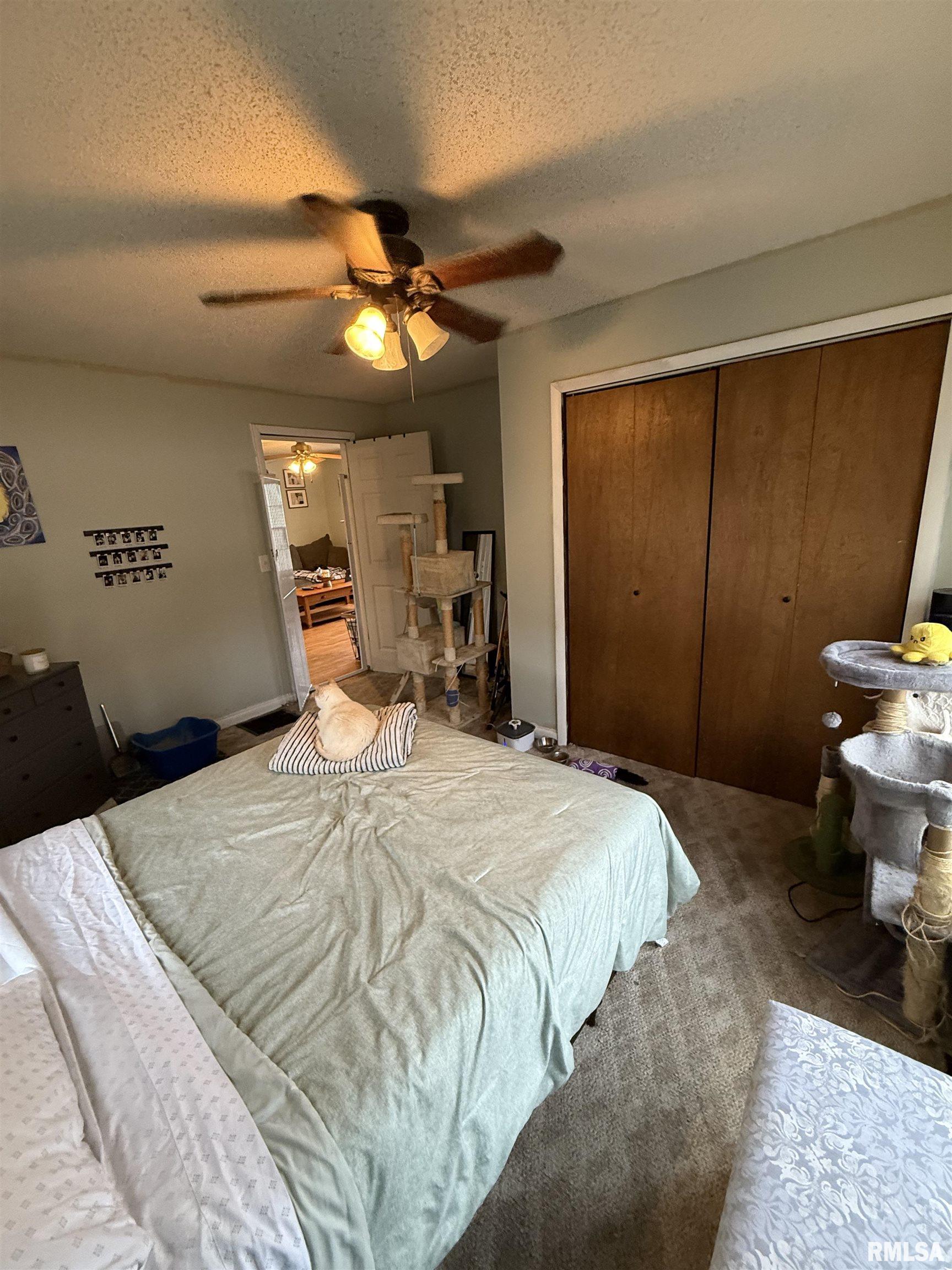 409 South Price Street Industry, IL 61440 - Photo 21 of 47