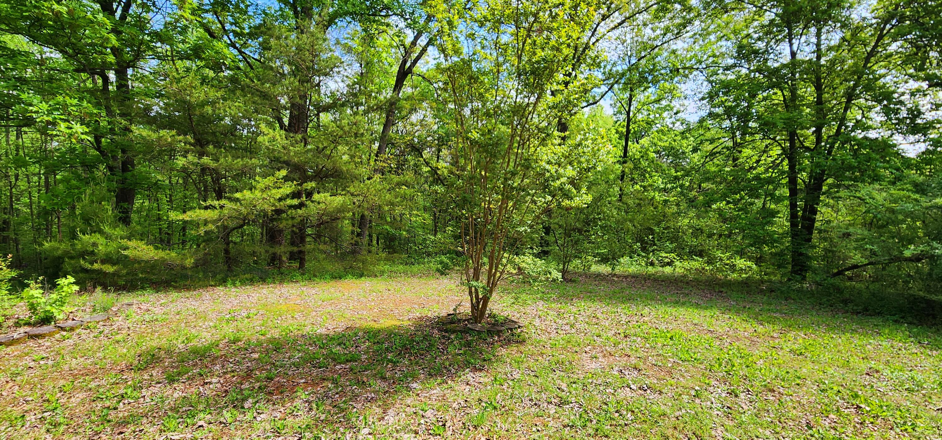 395 Len Mar Road Spring City, TN 37381 - Photo 13 of 46 1000007109