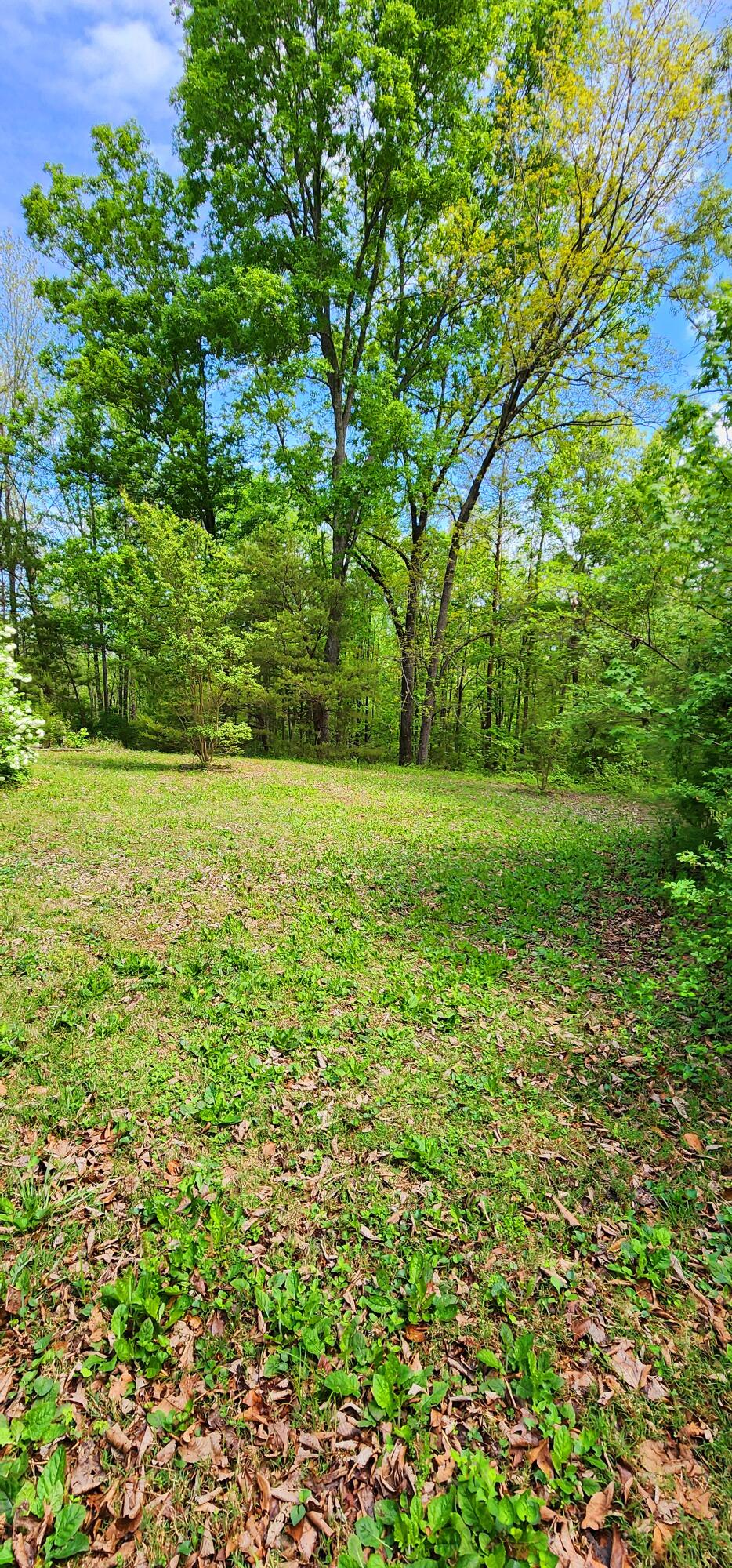 395 Len Mar Road Spring City, TN 37381 - Photo 16 of 46 1000007105