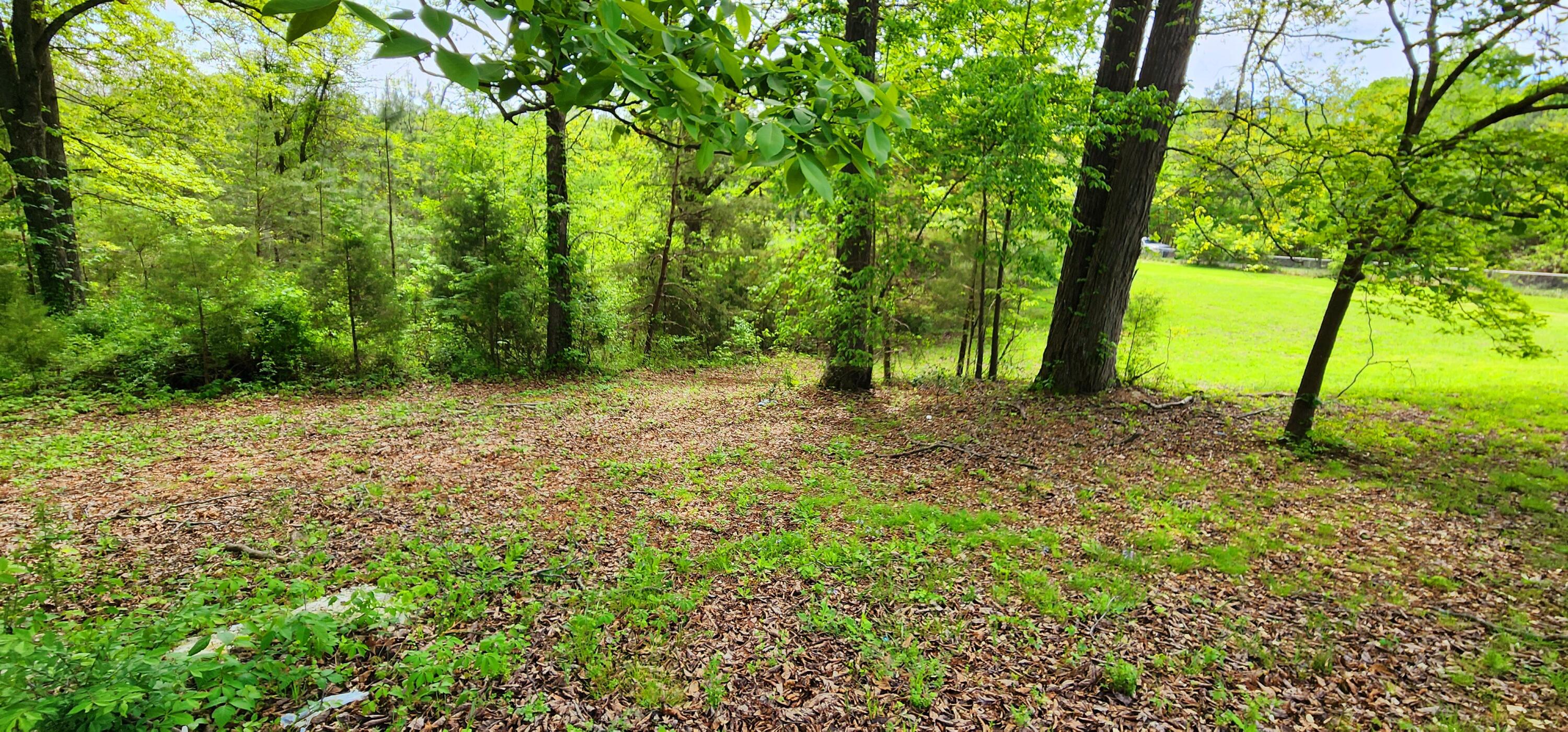 395 Len Mar Road Spring City, TN 37381 - Photo 21 of 46 1000007100