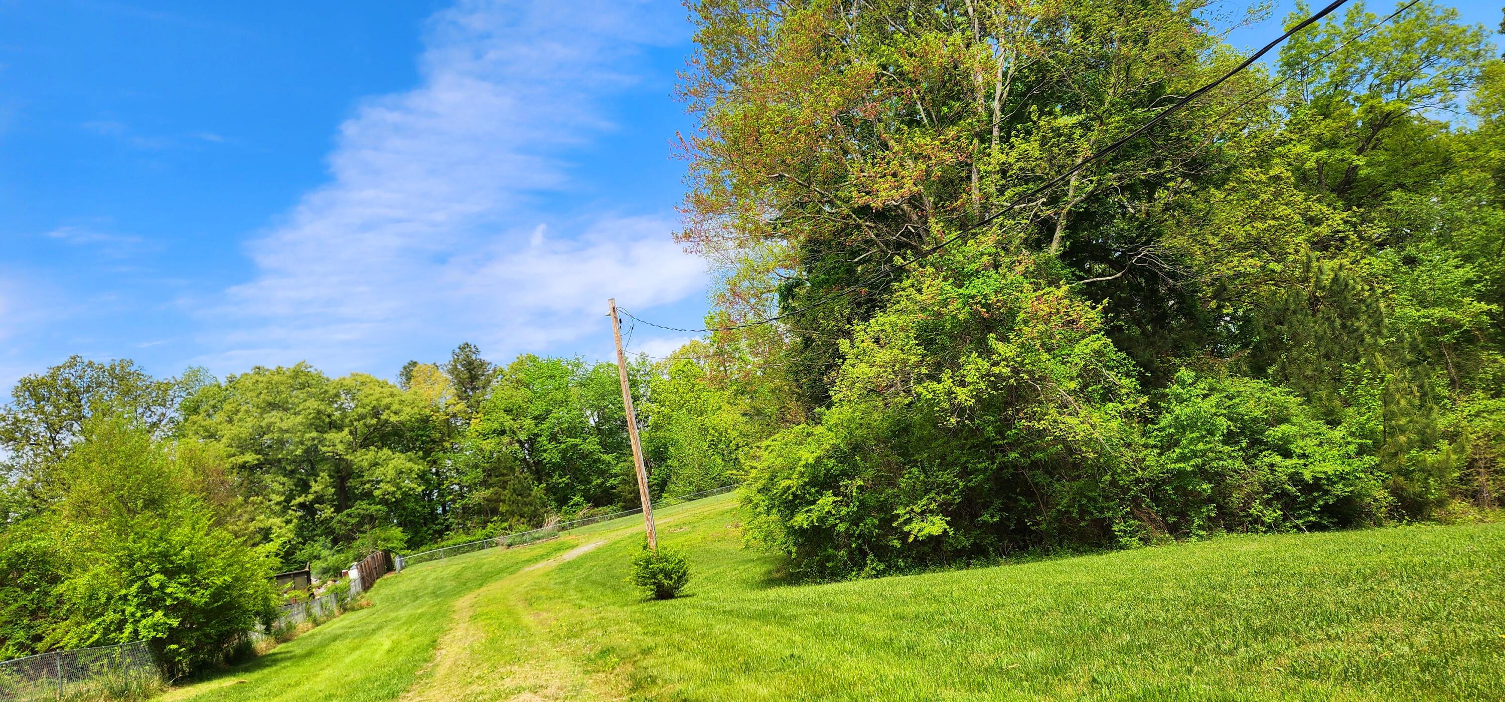 395 Len Mar Road Spring City, TN 37381 - Photo 6 of 46 1000007127