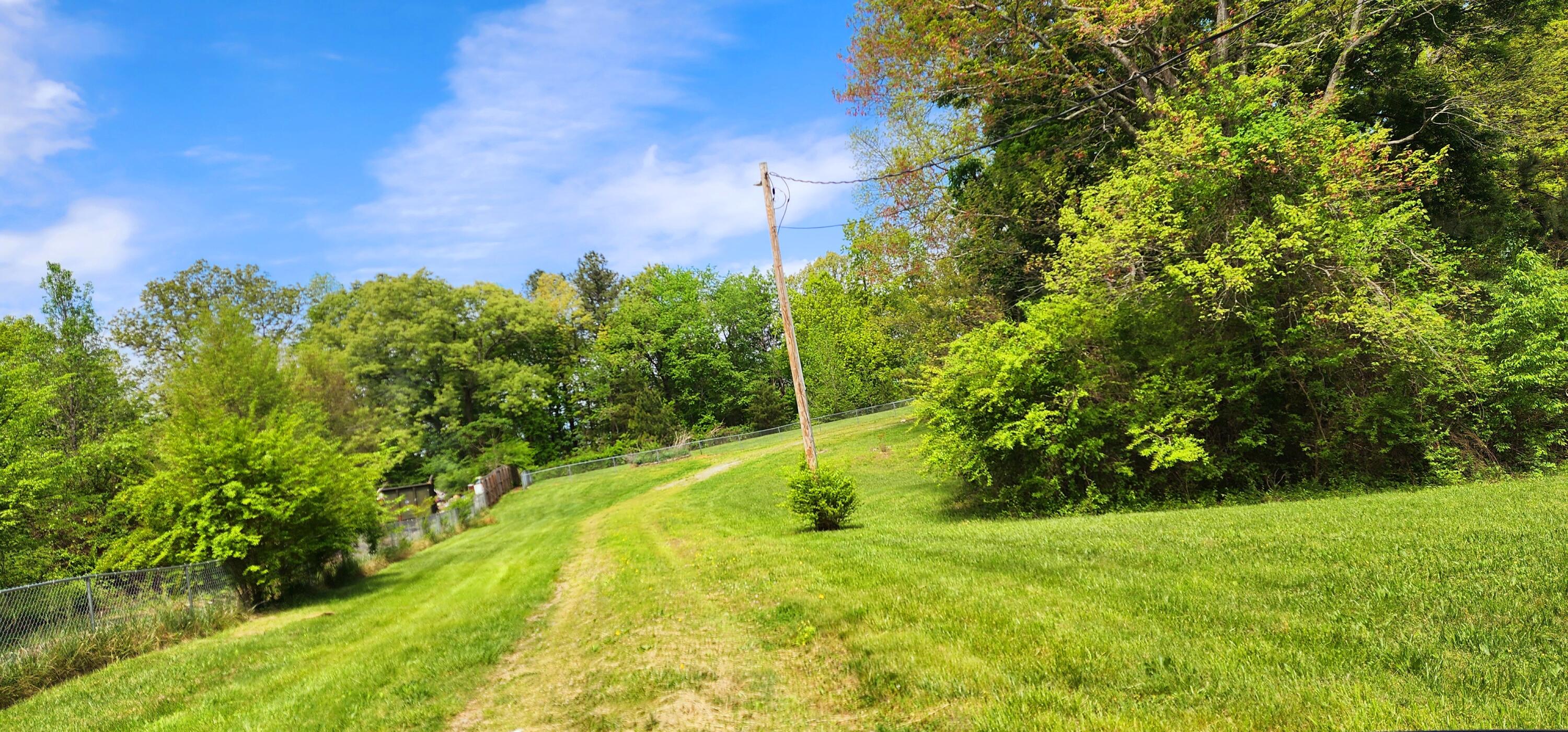 395 Len Mar Road Spring City, TN 37381 - Photo 7 of 46 1000007126