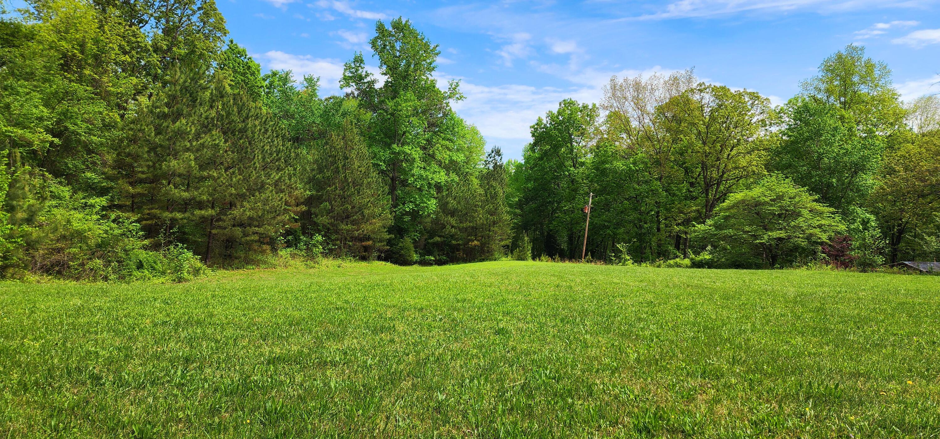 395 Len Mar Road Spring City, TN 37381 - Photo 8 of 46 1000007125