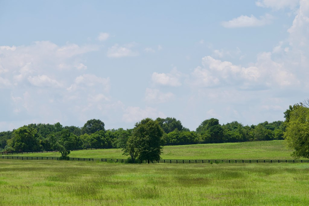 Lot 16 New Bridge Road Aiken, SC 29801 - Photo 6 of 10
