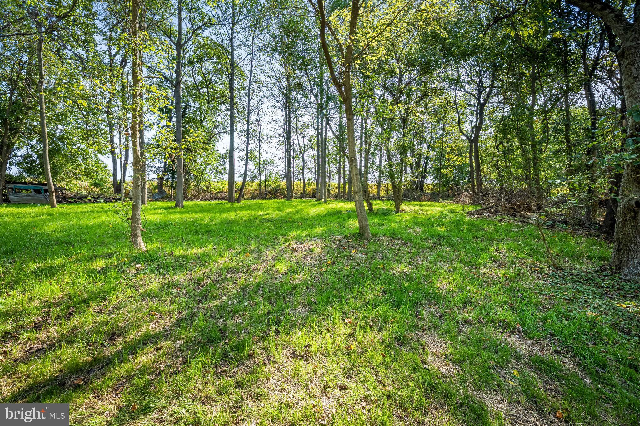 4831 Conowingo Road Darlington, MD 21034 - Photo 28 of 37 a view of yard with trees
