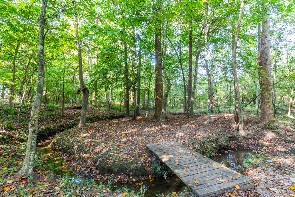 116 Hammerbeck Road Summerville, SC 29483 - Photo 28 of 28 Private Wetlands