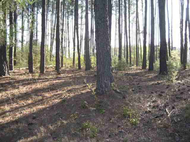 3 Massey Road Hartwell, GA 30643 - Photo 1 of 8 Gallery Image 1