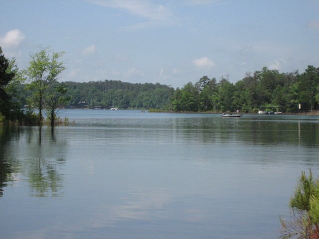 3 Massey Road Hartwell, GA 30643 - Photo 3 of 8 Gallery Image 3