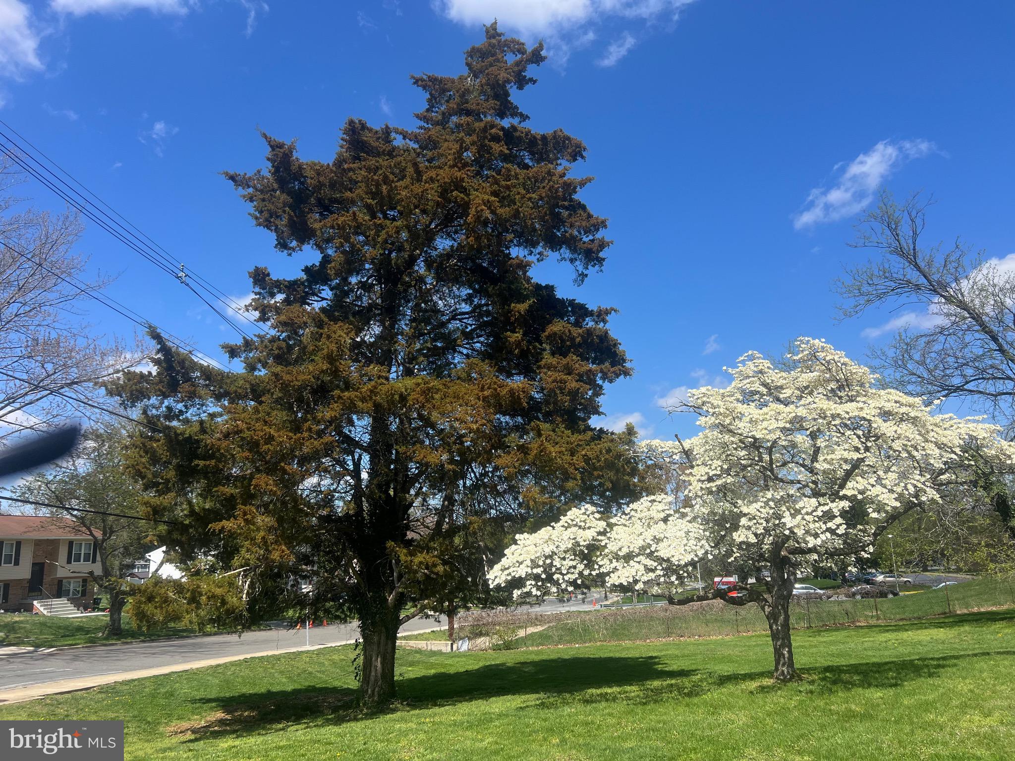 2600 Kingsway Road Fort Washington, MD 20744 - Photo 34 of 37 a view of a garden with large trees