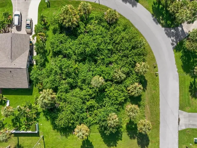 a view of a garden with plants