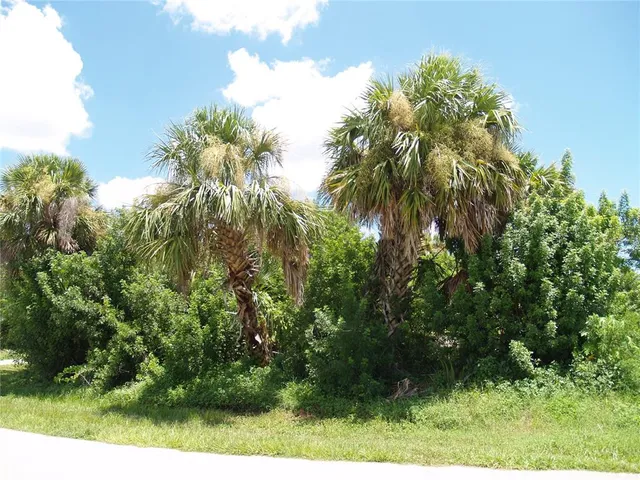 a park with lots of trees and plants