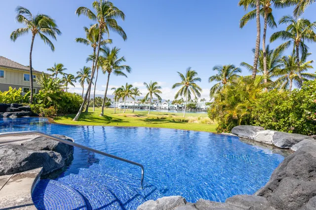 a view of a swimming pool with a yard and palm trees