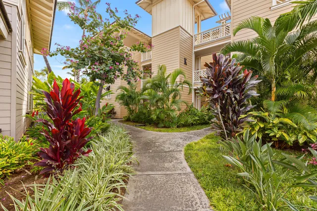 a view of a yard with plants