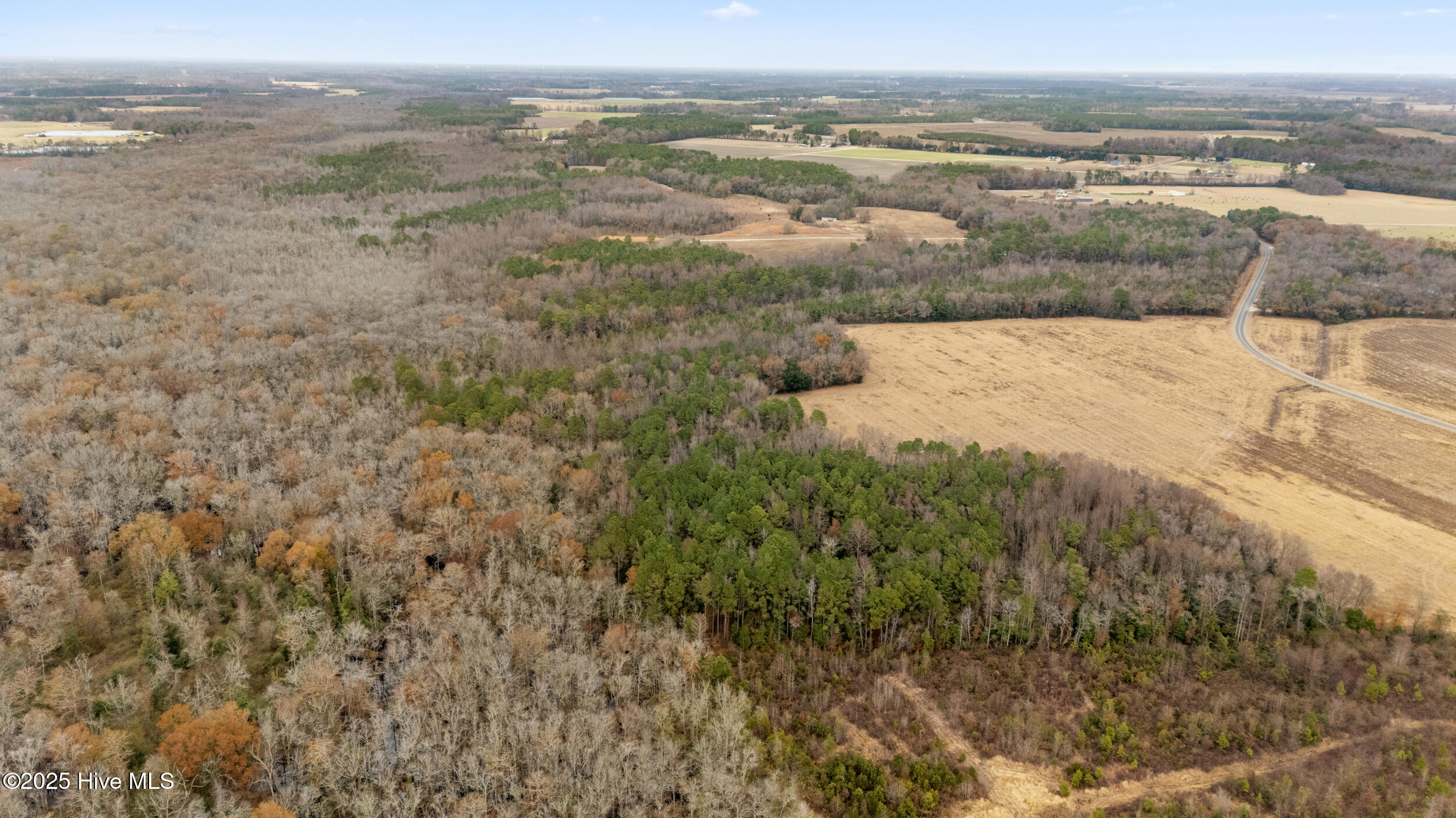 0 Gaddy's Mill Road Maxton, NC 28364 - Photo 8 of 24 8
