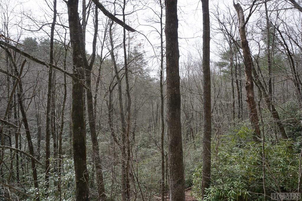 Tbd Turtle Pond Road Highlands, NC 28741 - Photo 3 of 4 Gallery Image 3