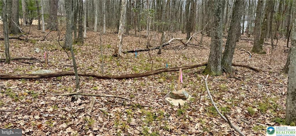 500 Sumac Court Kunkletown, PA 18058 - Photo 6 of 13 Perc Test on file & Plot Plan available