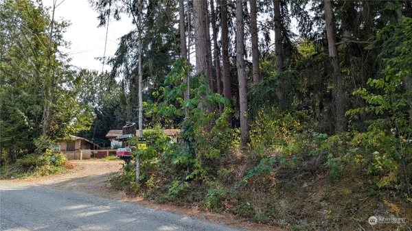 a view of yard with green space