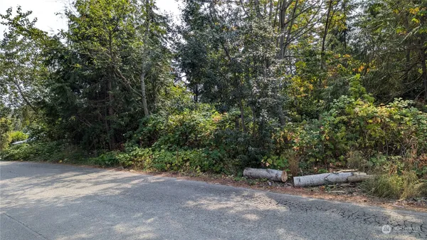 a view of a field with trees in the background