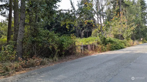 a view of a forest with trees