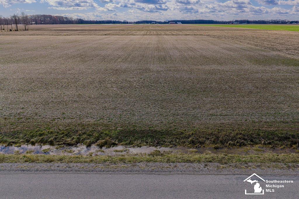 East Newburg Road Carleton, MI 48117 - Photo 1 of 10