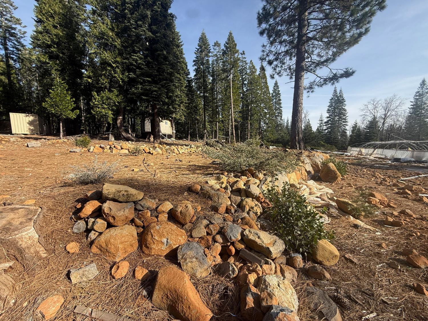 16127 Ophir Silver Road Nevada City, CA 95959 - Photo 17 of 20