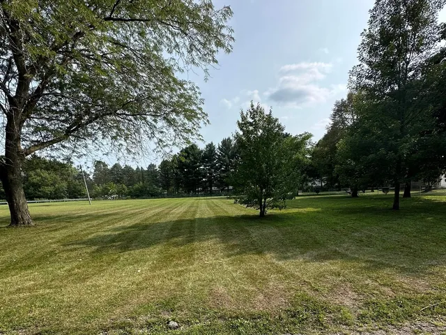 a view of a grassy field with trees