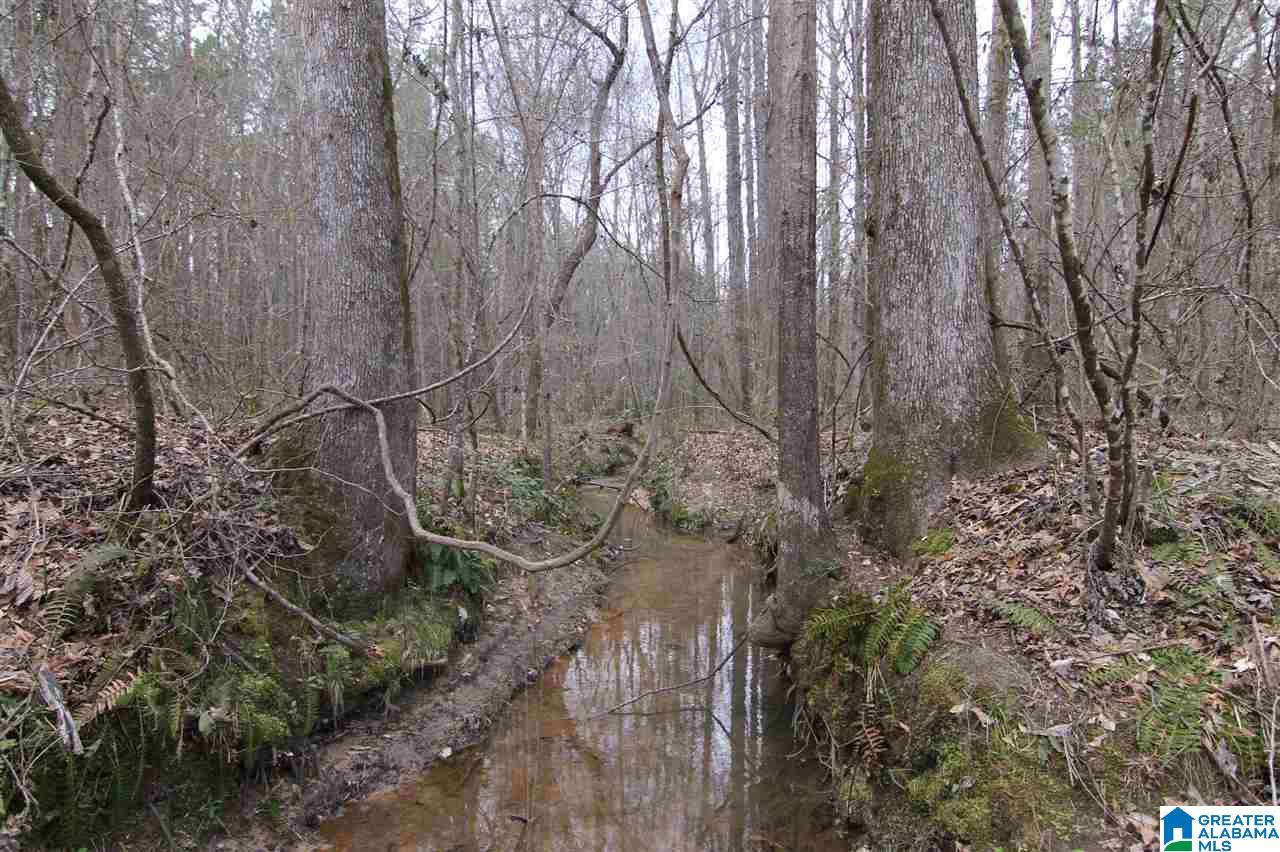 500 Lil Beaver Road, Unit 260 AC Daviston, AL 36256 - Photo 11 of 20