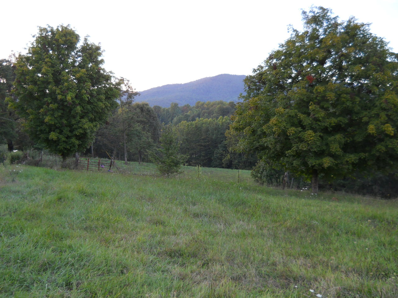 1112 Loyds Store Road Vinton, VA 24179 - Photo 1 of 2 Loyds store rd