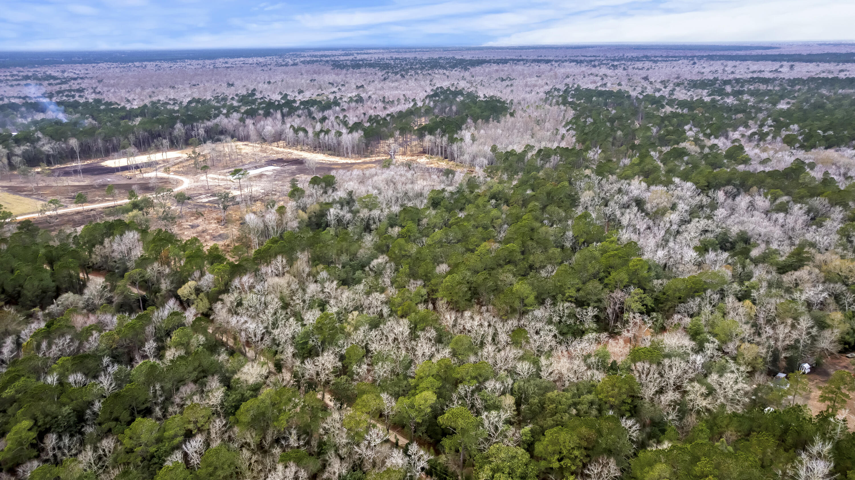 8874 Old Georgetown Road McClellanville, SC 29458 - Photo 12 of 19 DJI_0460