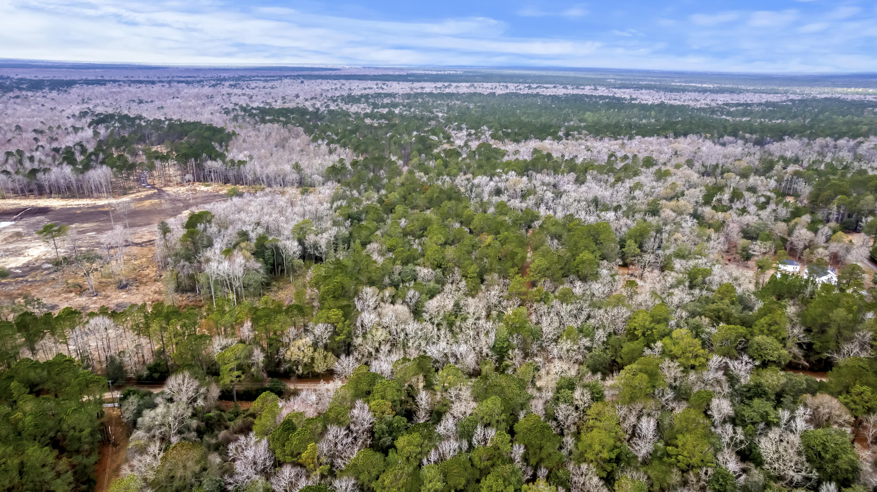 8874 Old Georgetown Road McClellanville, SC 29458 - Photo 13 of 19 DJI_0463