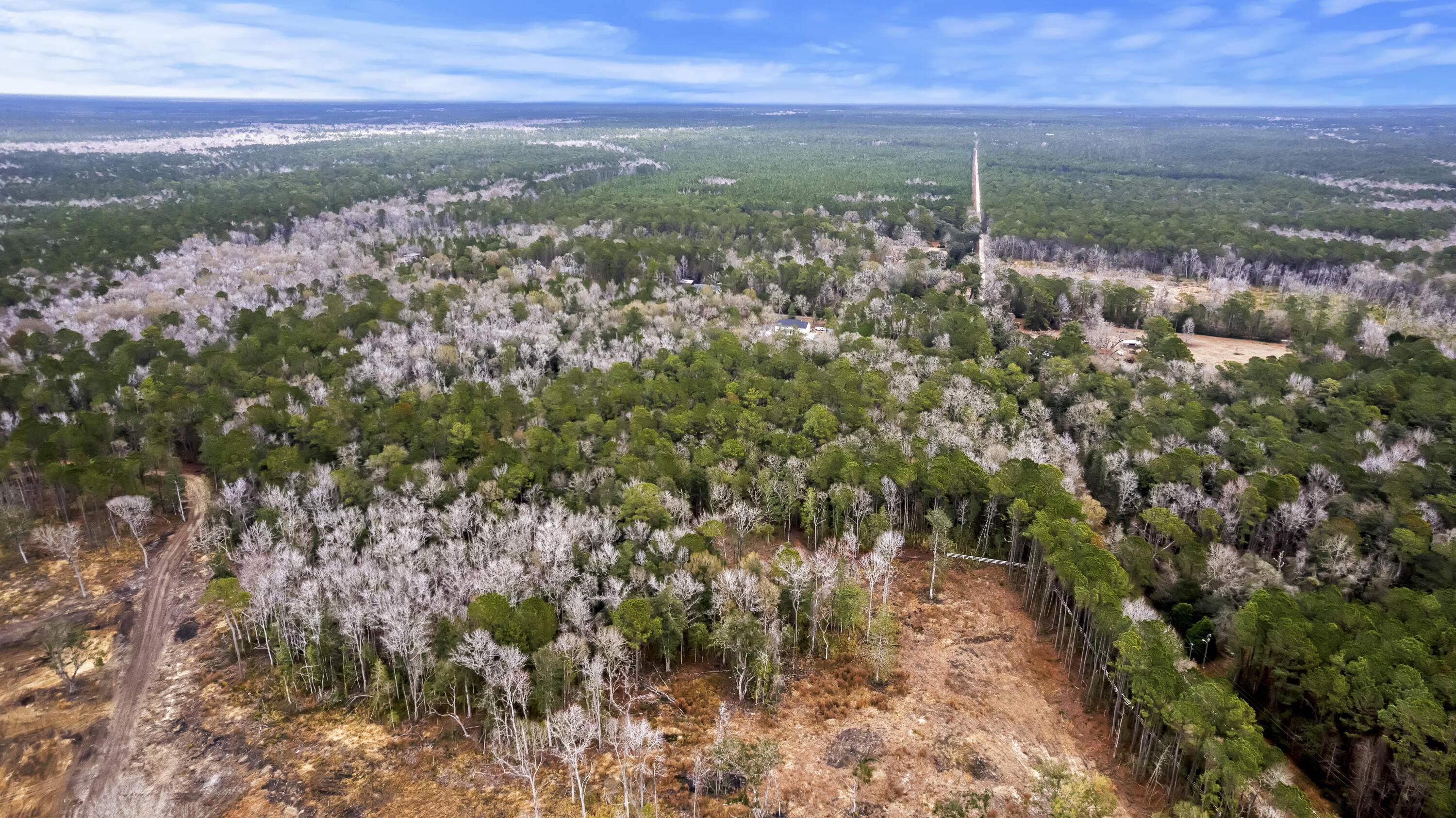 8874 Old Georgetown Road McClellanville, SC 29458 - Photo 15 of 19 DJI_0469